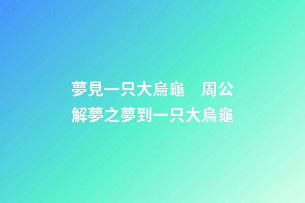 夢見一只大烏龜　周公解夢之夢到一只大烏龜